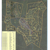 Timber Map & Volumes (Tract 1 - 1721 acres)